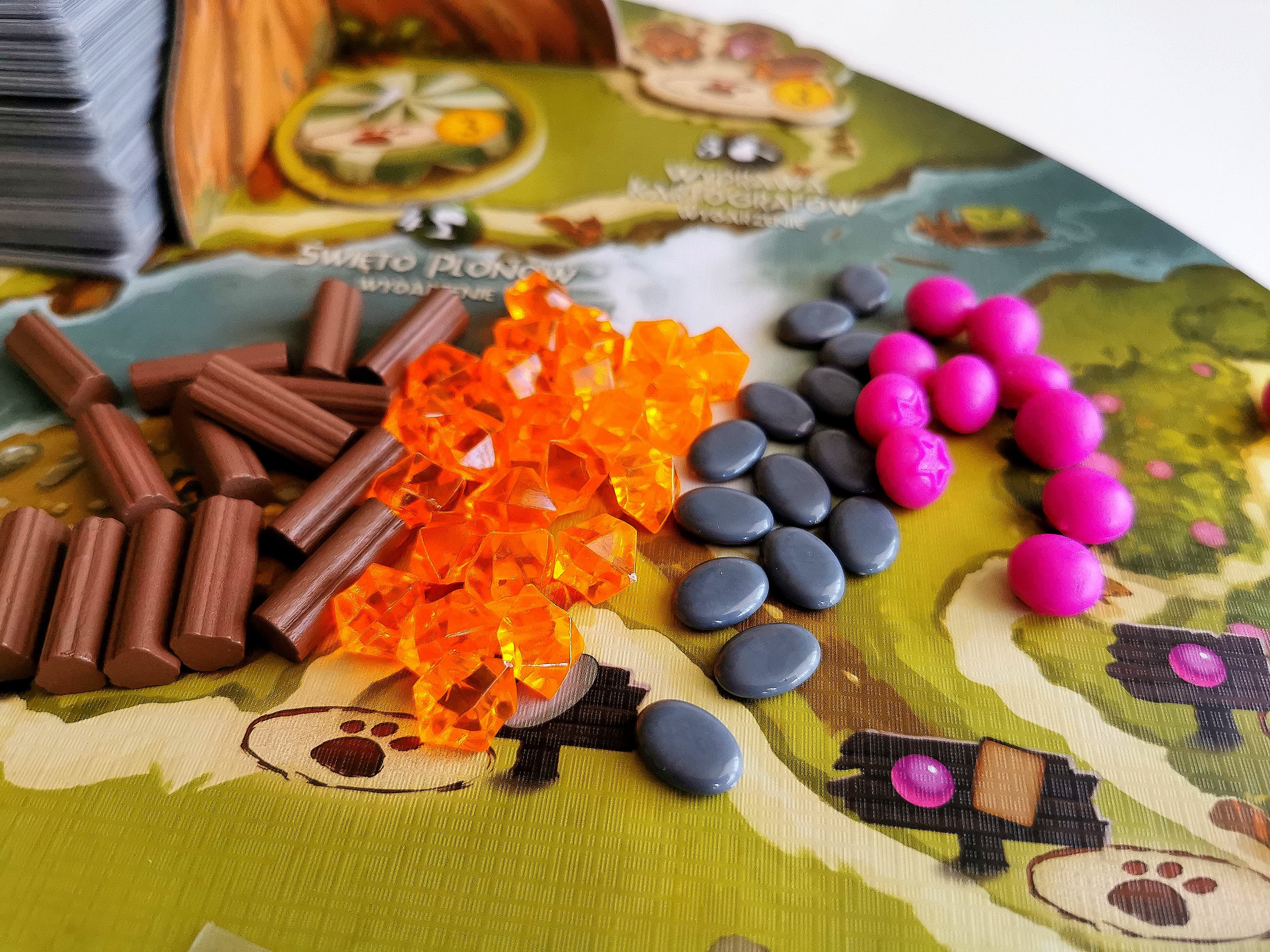 Everdell Recenzja surowce