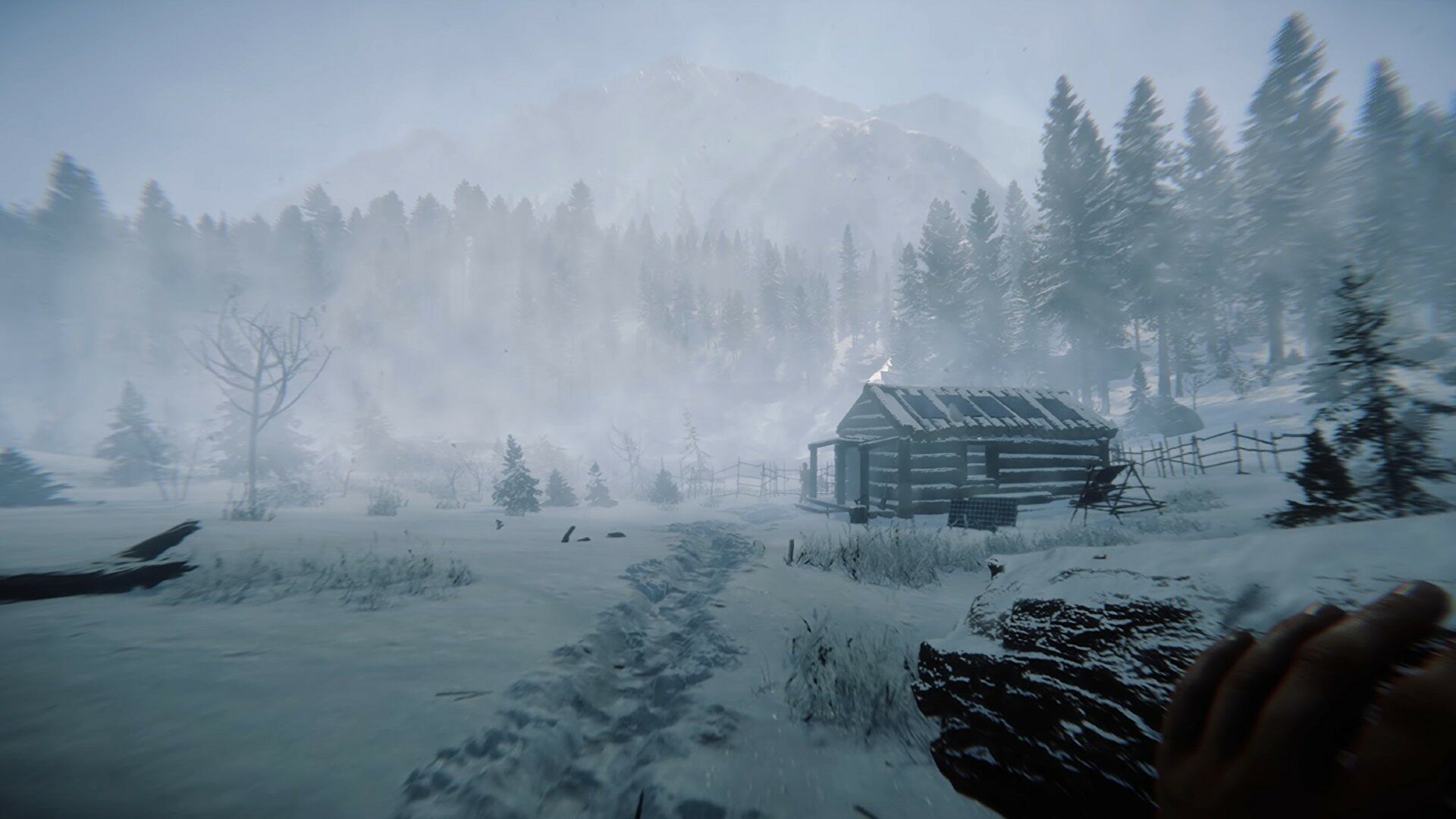 Sons of the Forest poradnik dla początkujących-2 zima