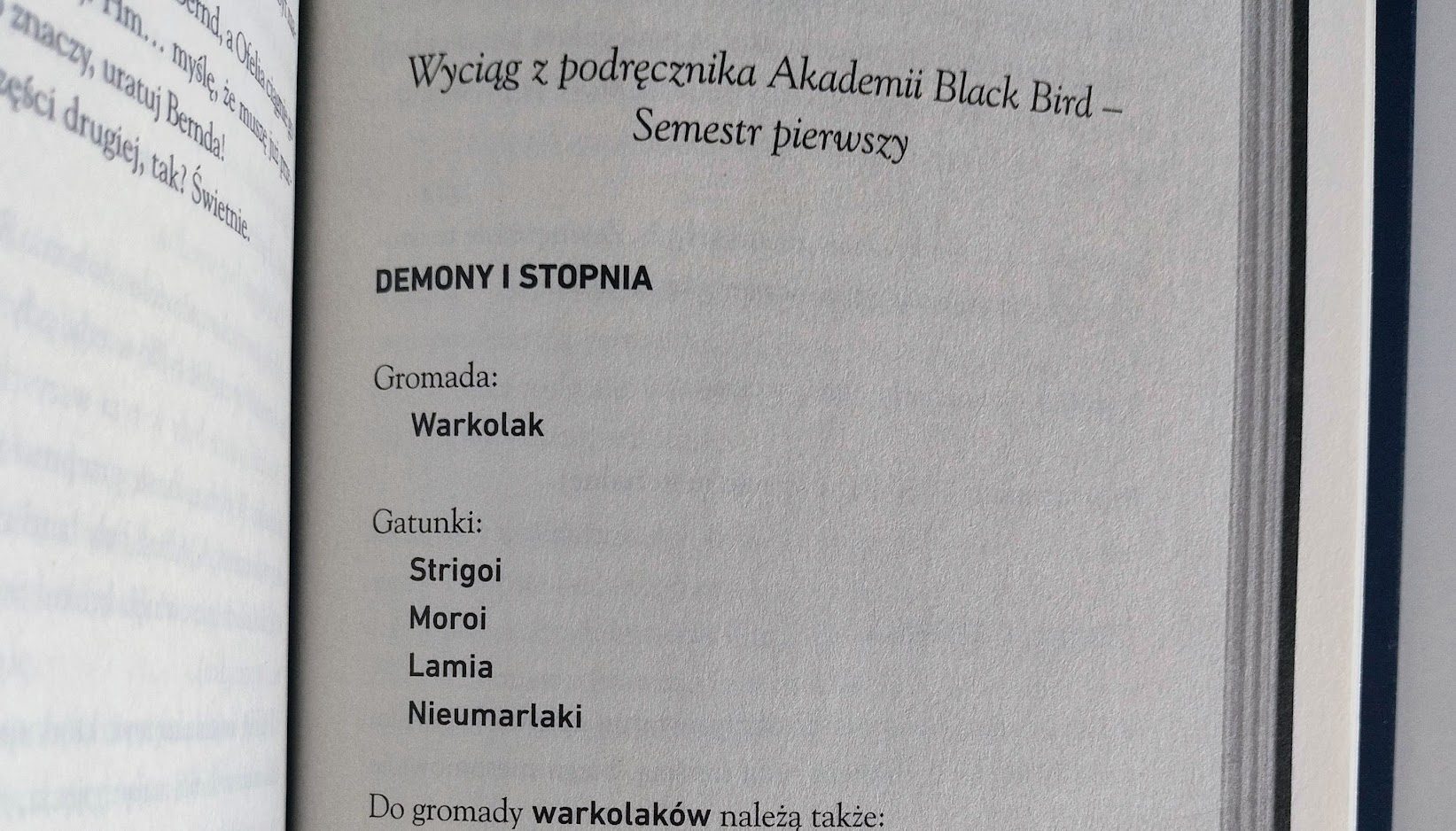 Black Bird Academy