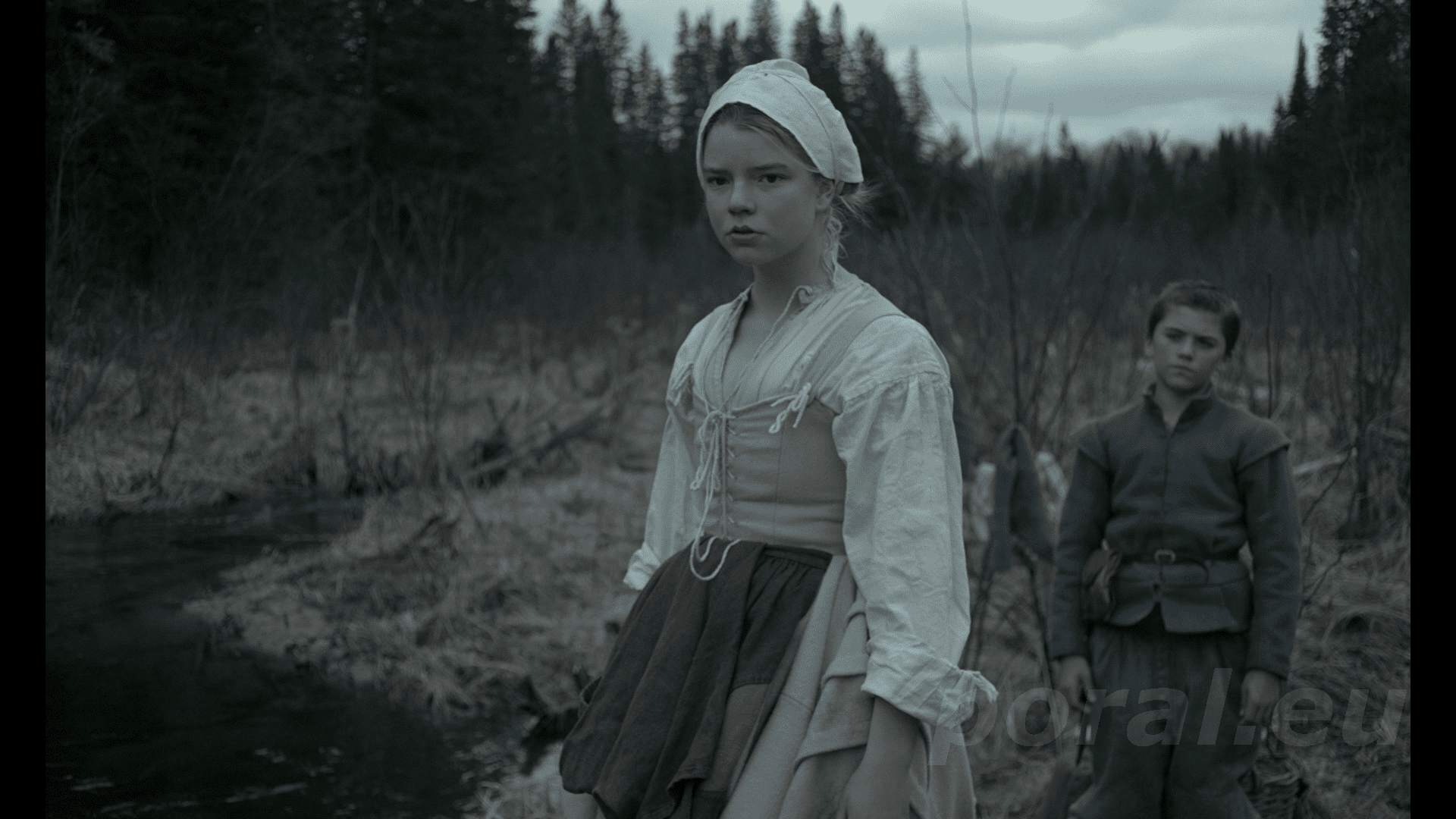 Sierpniowe premiery na VOD