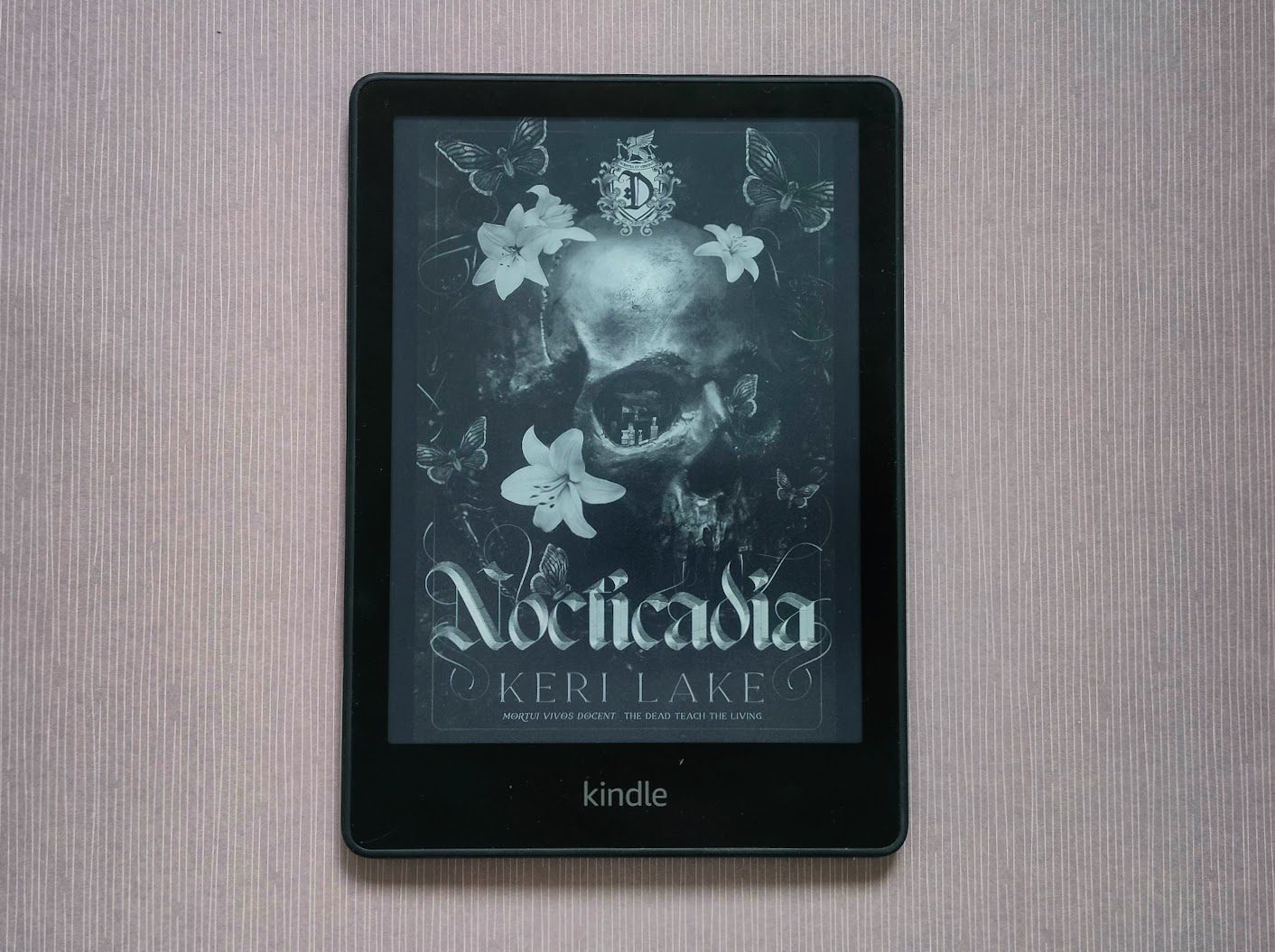 nocticadia
