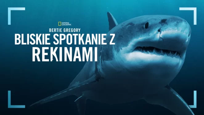 Lipcowe premiery na Netflixie